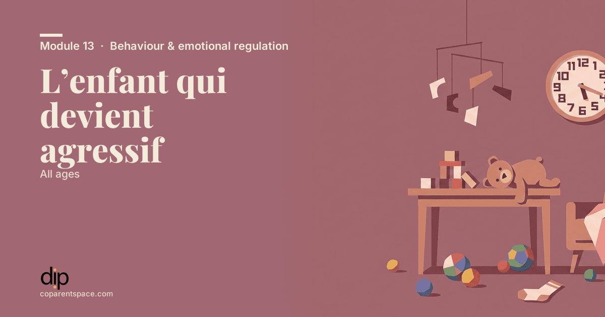 L’enfant qui devient agressif