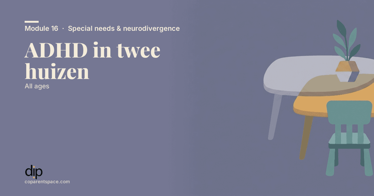 ADHD in twee huizen