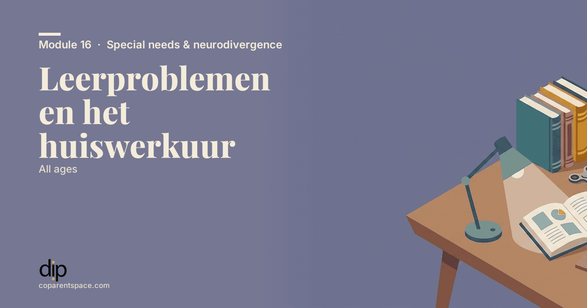 Leerproblemen en het huiswerkuur