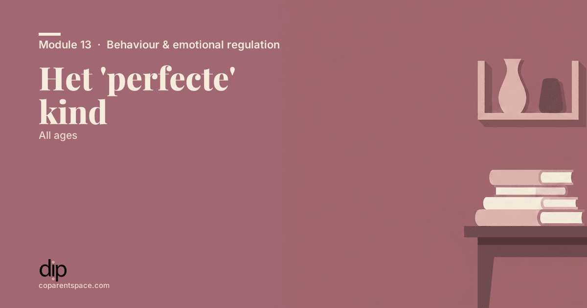 Het 'perfecte' kind