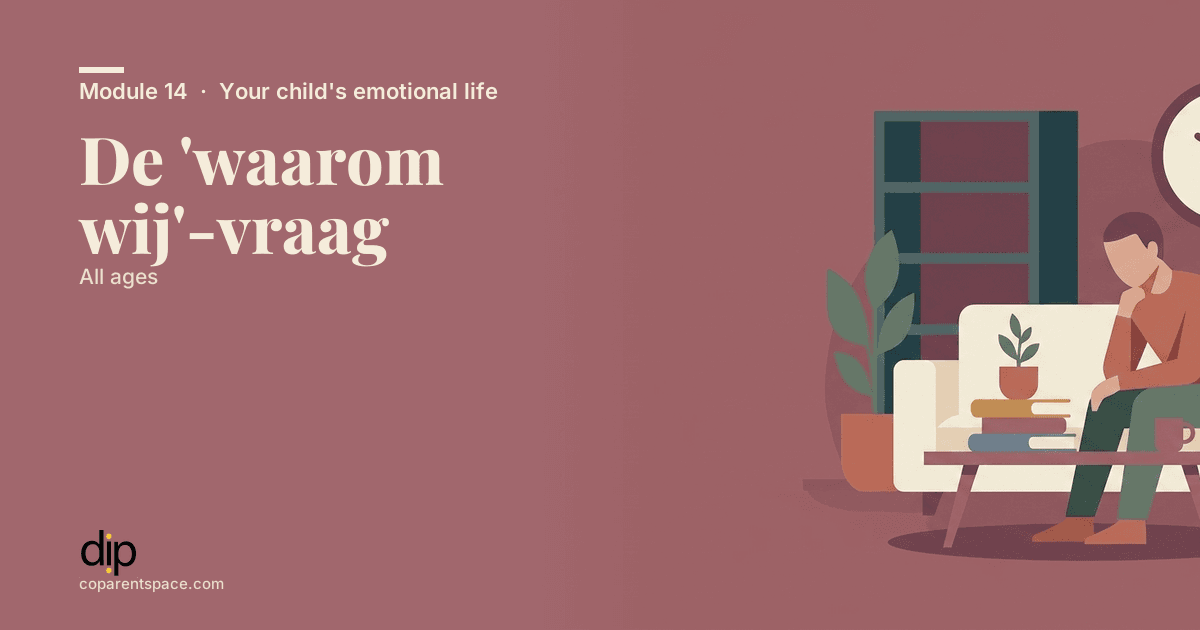 De 'waarom wij'-vraag