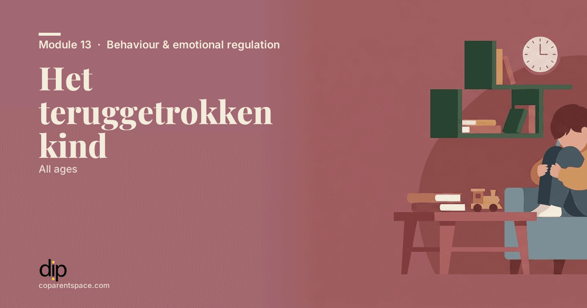 Het teruggetrokken kind